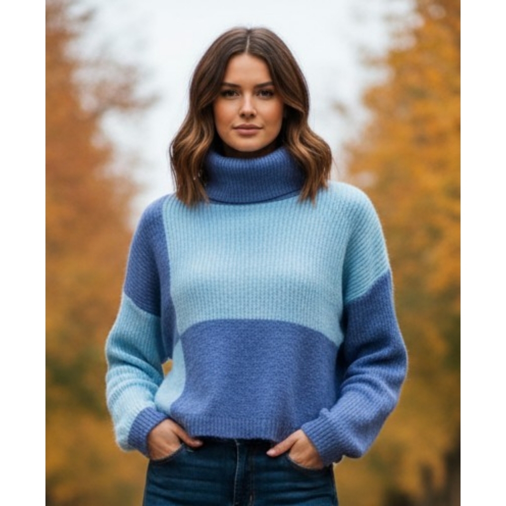 Wild Fable Color block Cropped Turtleneck Sweater Blue Size S
